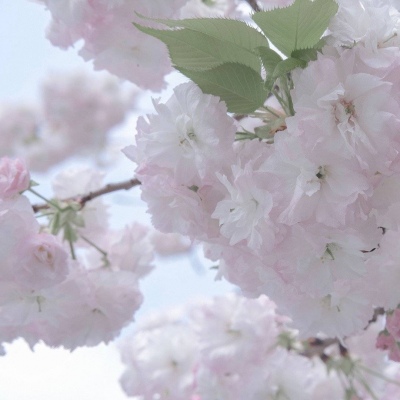 兽设比例设计入门兽圈群